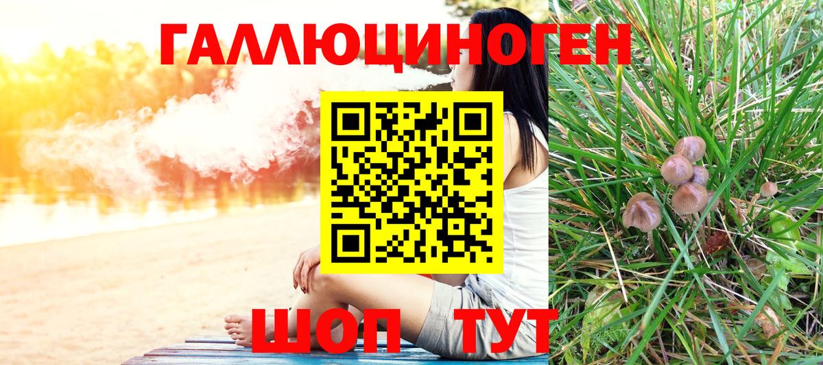 Галлюциногенные грибы прущие грибы Гусев