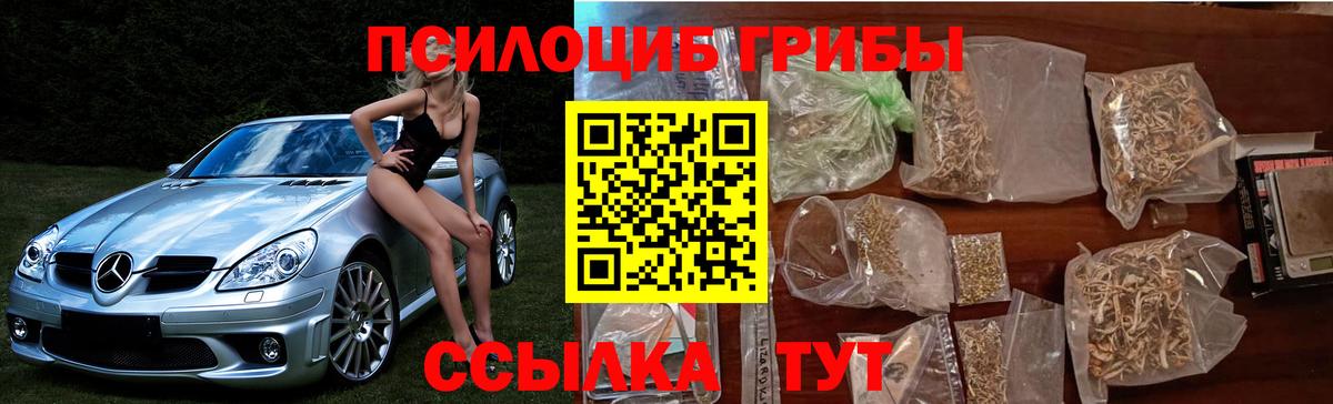 Галлюциногенные грибы Psilocybe  магазин продажи   Гусев  Вход с VPN 