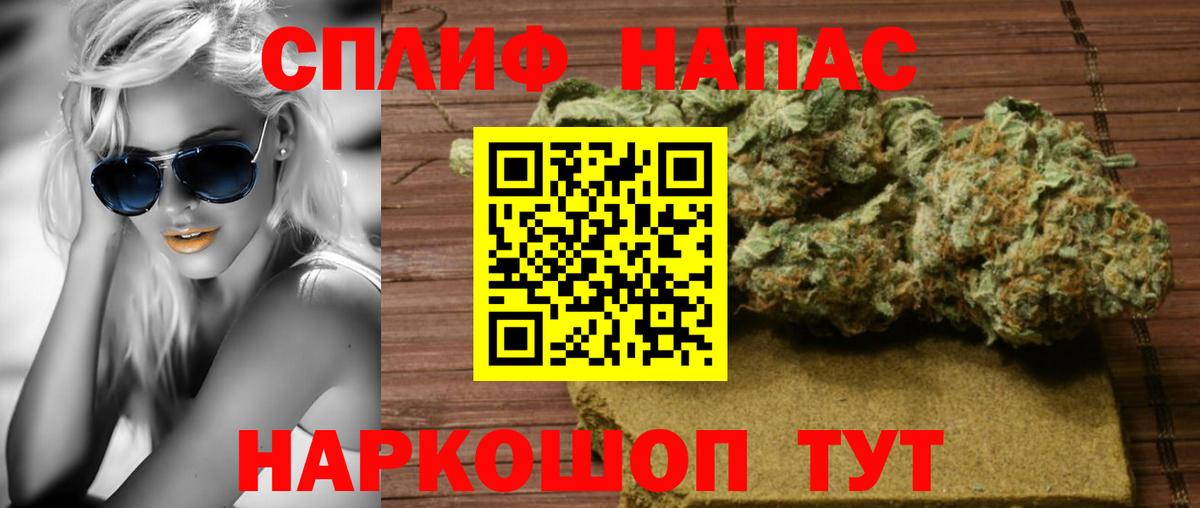 Бошки Шишки план Гусев